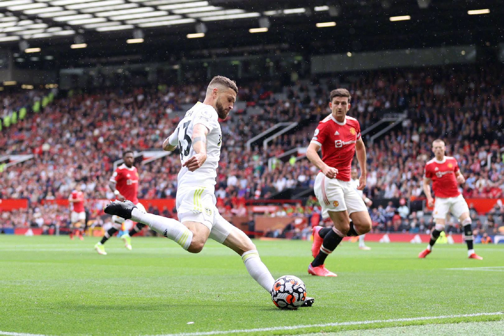 政治团体的 政治团体的