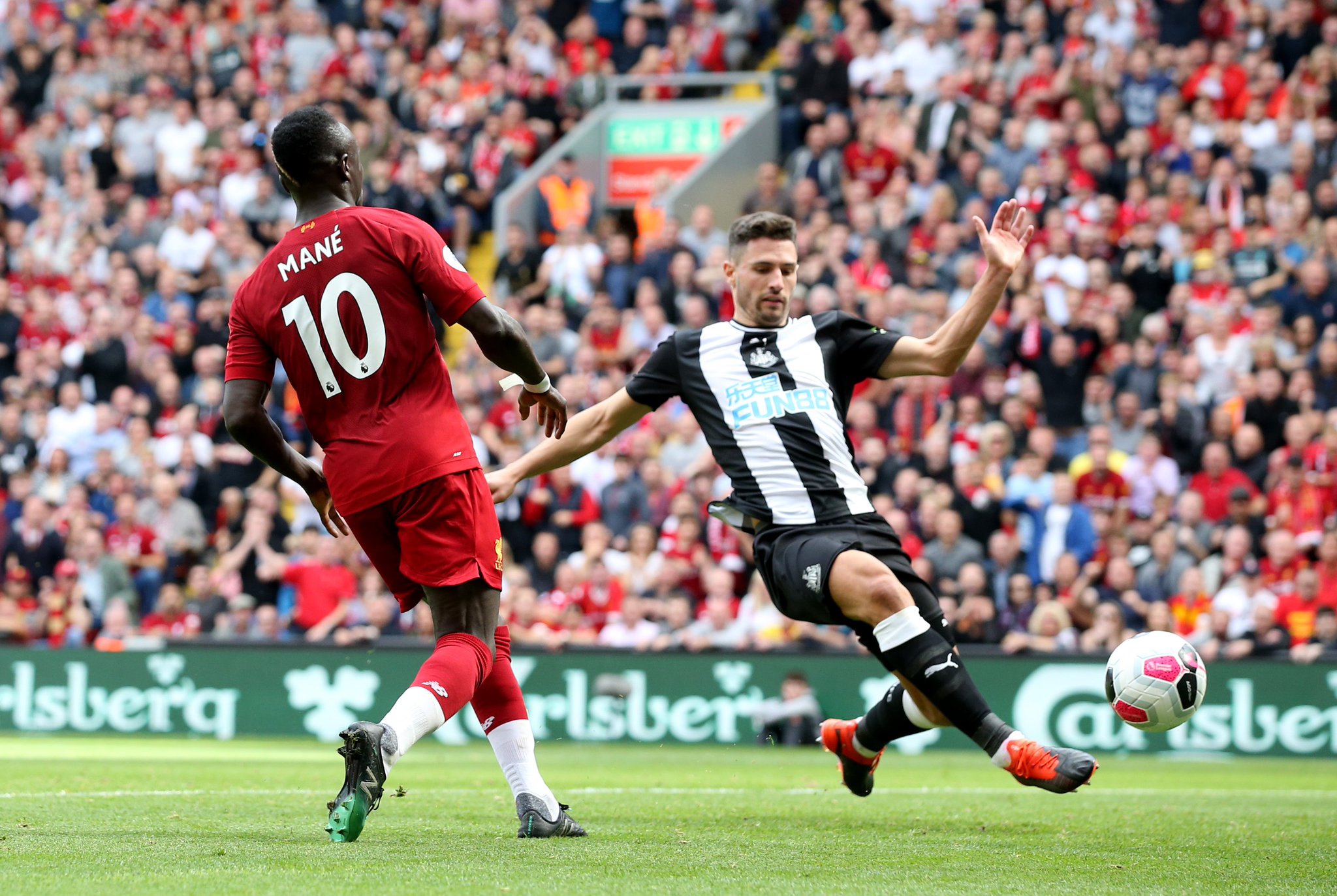 仅展示了若 仅展示了若